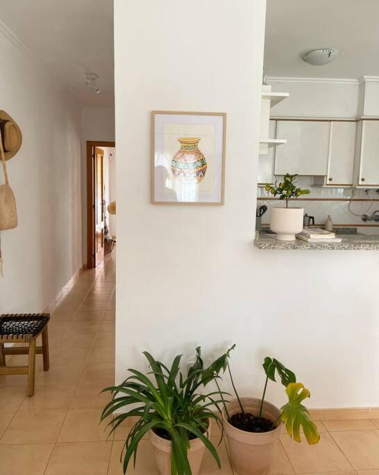 Apartamento Mediterraneo Entre Vinedos Jesus Pobre Extérieur photo